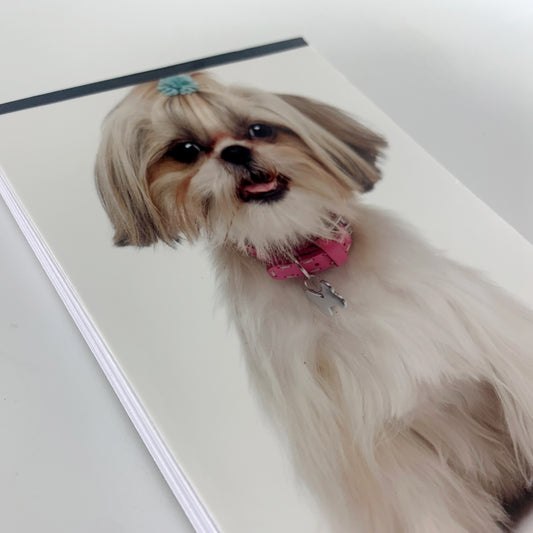 Set of 10, 50 Pages, Custom notepads, personalized notepad printing, notepad with logo, notepad with photo, pet gift, gift for her, gift for him, realtor notepad