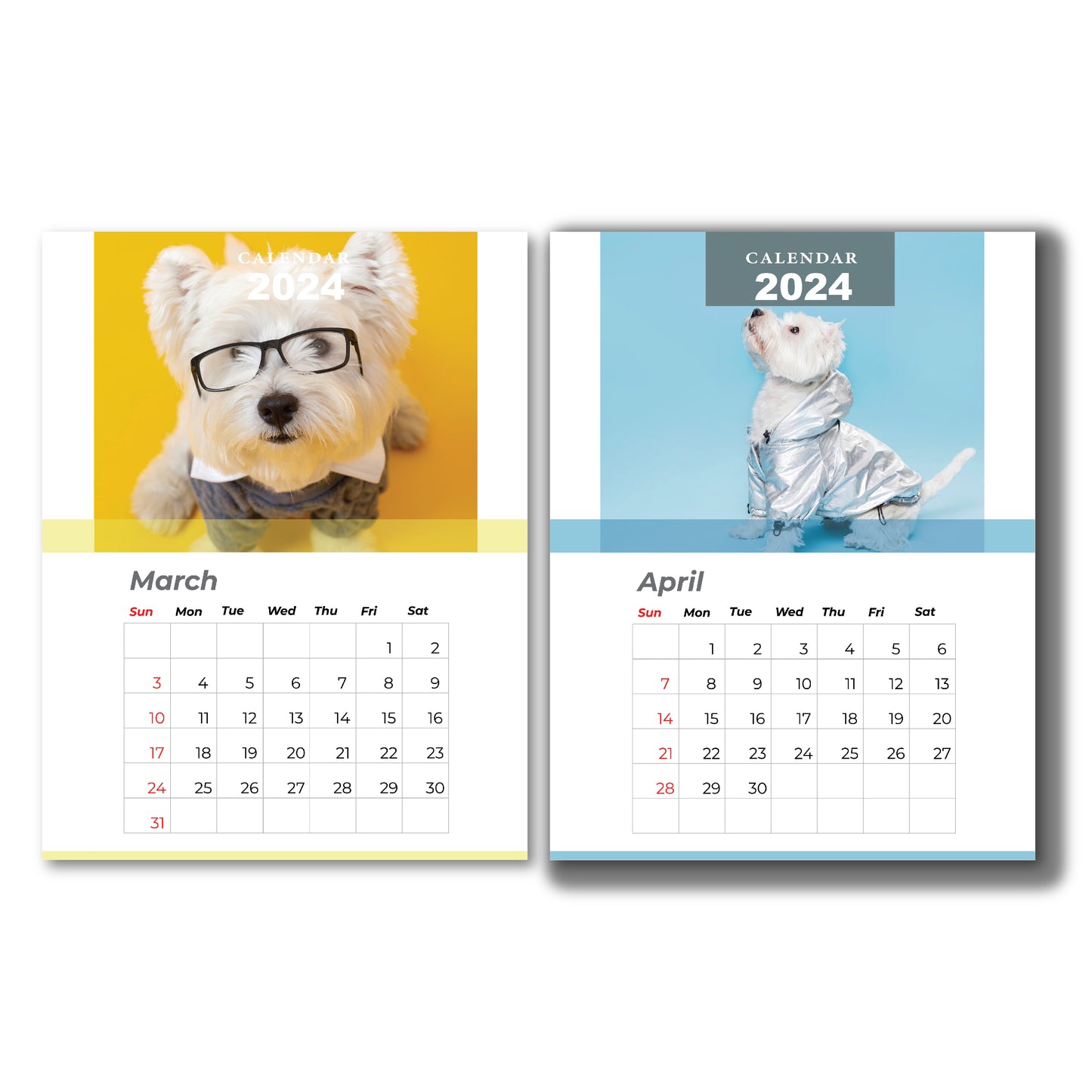 Calendar, custom calendar, pet calendar, calendar 2024, custom calendar 2024, bulk affordable calendar