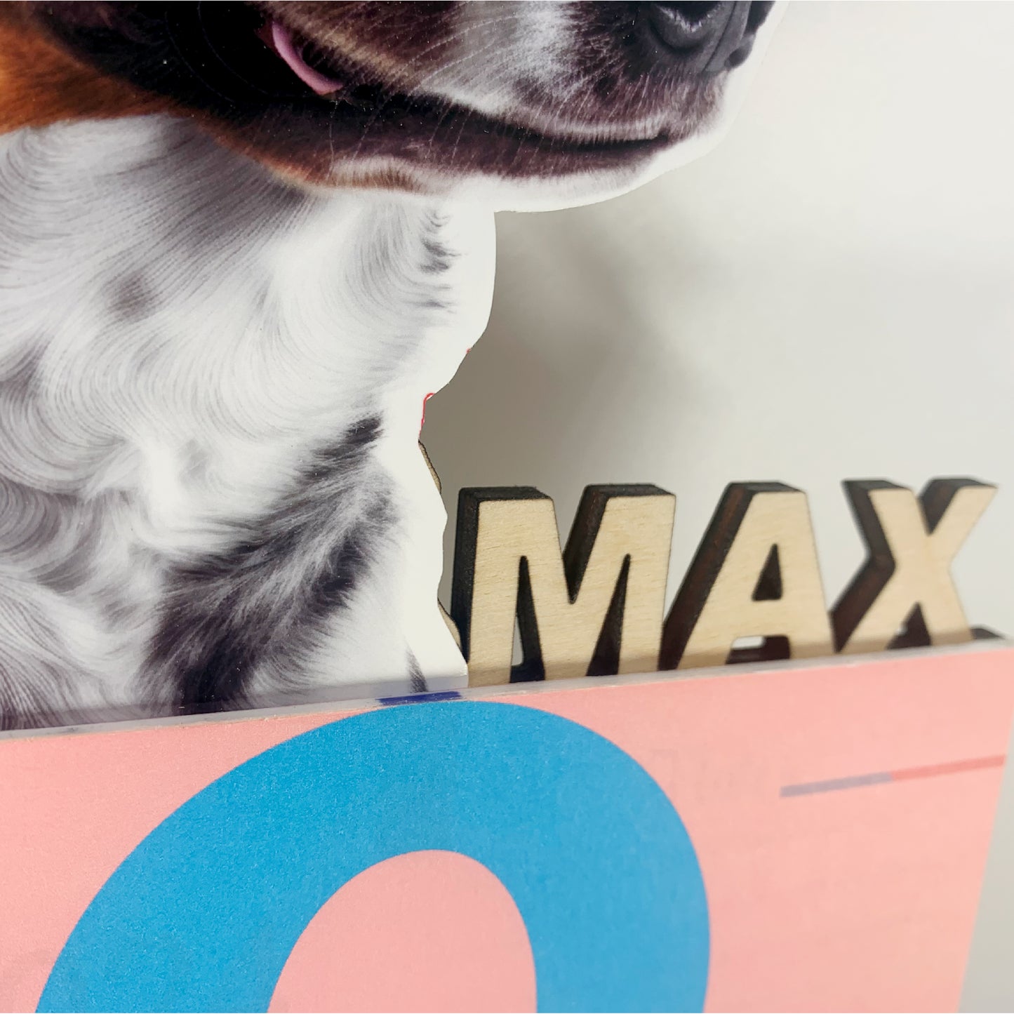 2024 Customized Pet Calendar,calendars, calendar, Personalized Calendar Bulk Pet Calendar Giveaway Affordable High Quality Calendar Bulk Company Calendar