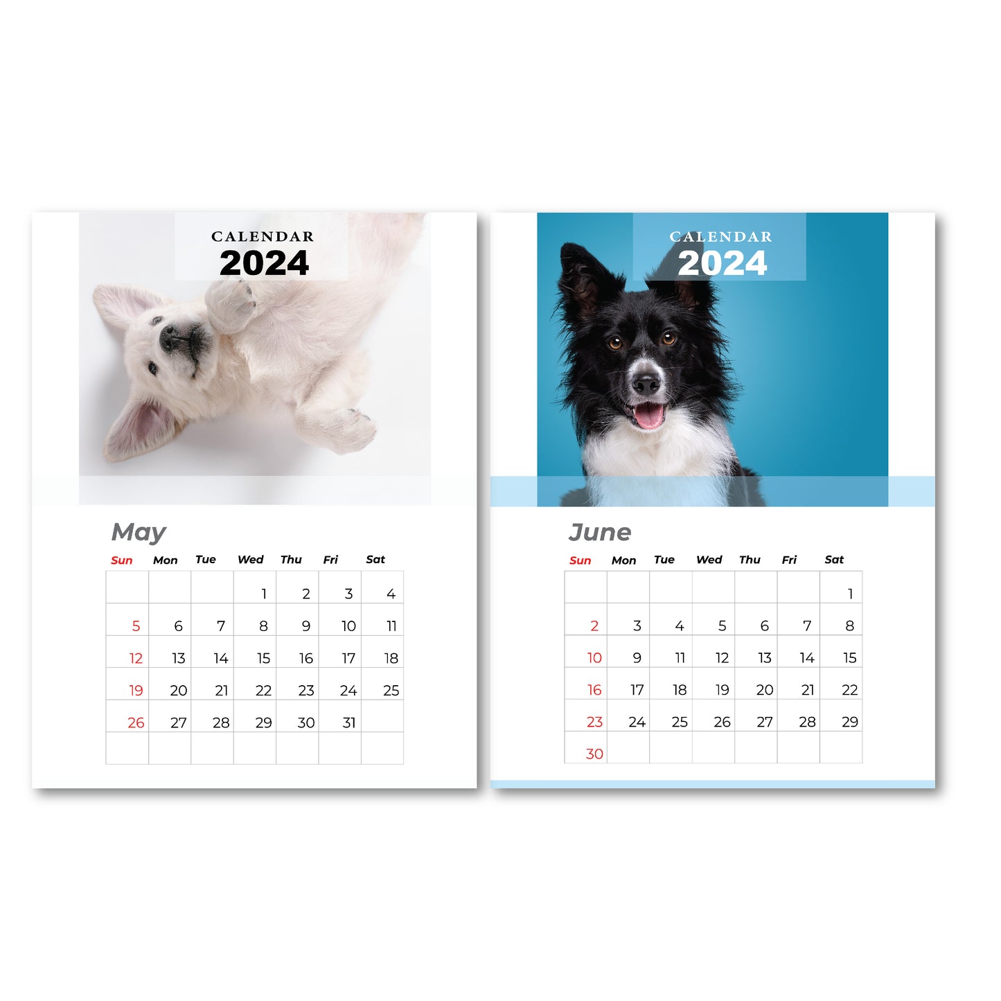 Calendar, custom calendar, pet calendar, calendar 2024, custom calendar 2024, bulk affordable calendar