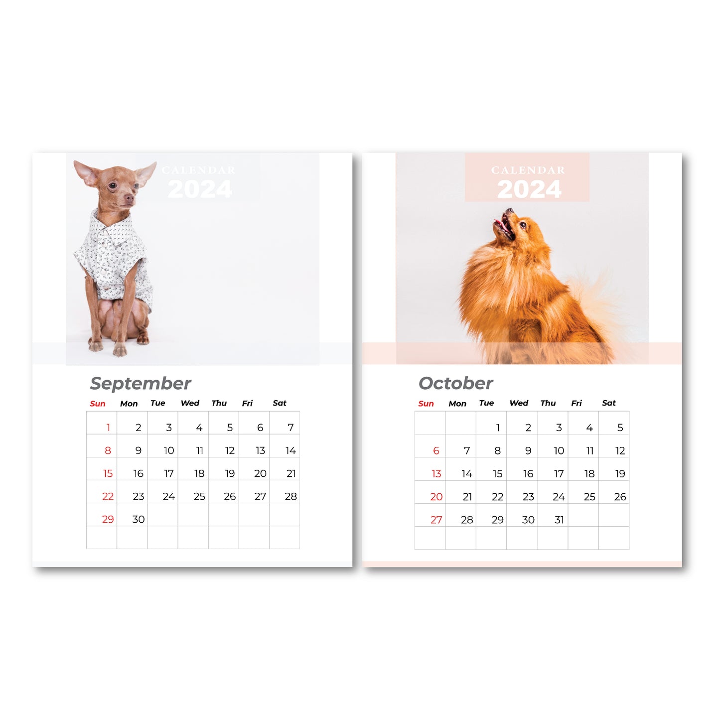 Calendar, custom calendar, pet calendar, calendar 2024, custom calendar 2024, bulk affordable calendar