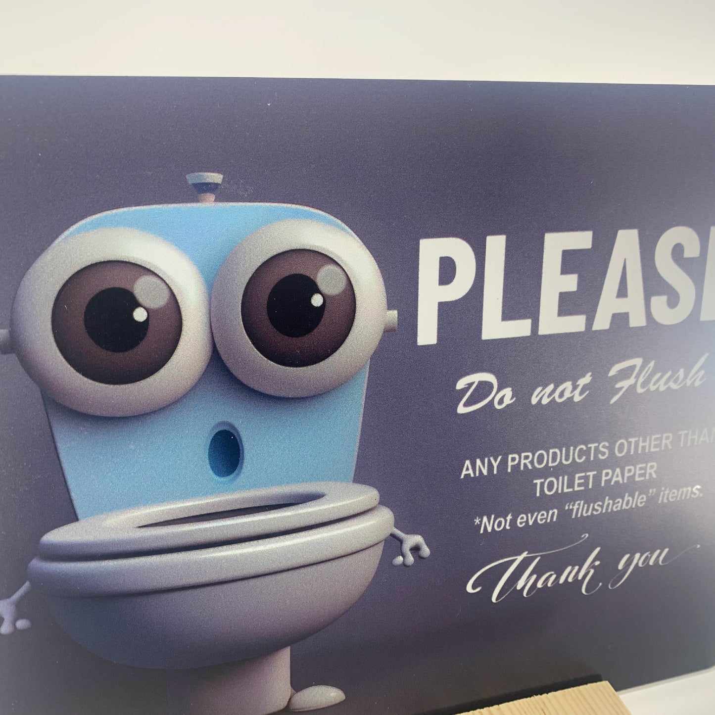 Please do not flush sign, rental house toilet sign, custom rental house sign, do not flush sign