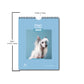 Calendar, custom calendar, calendars, calendar,pet calendar, calendar 2026, custom calendar 2026, bulk affordable calendar