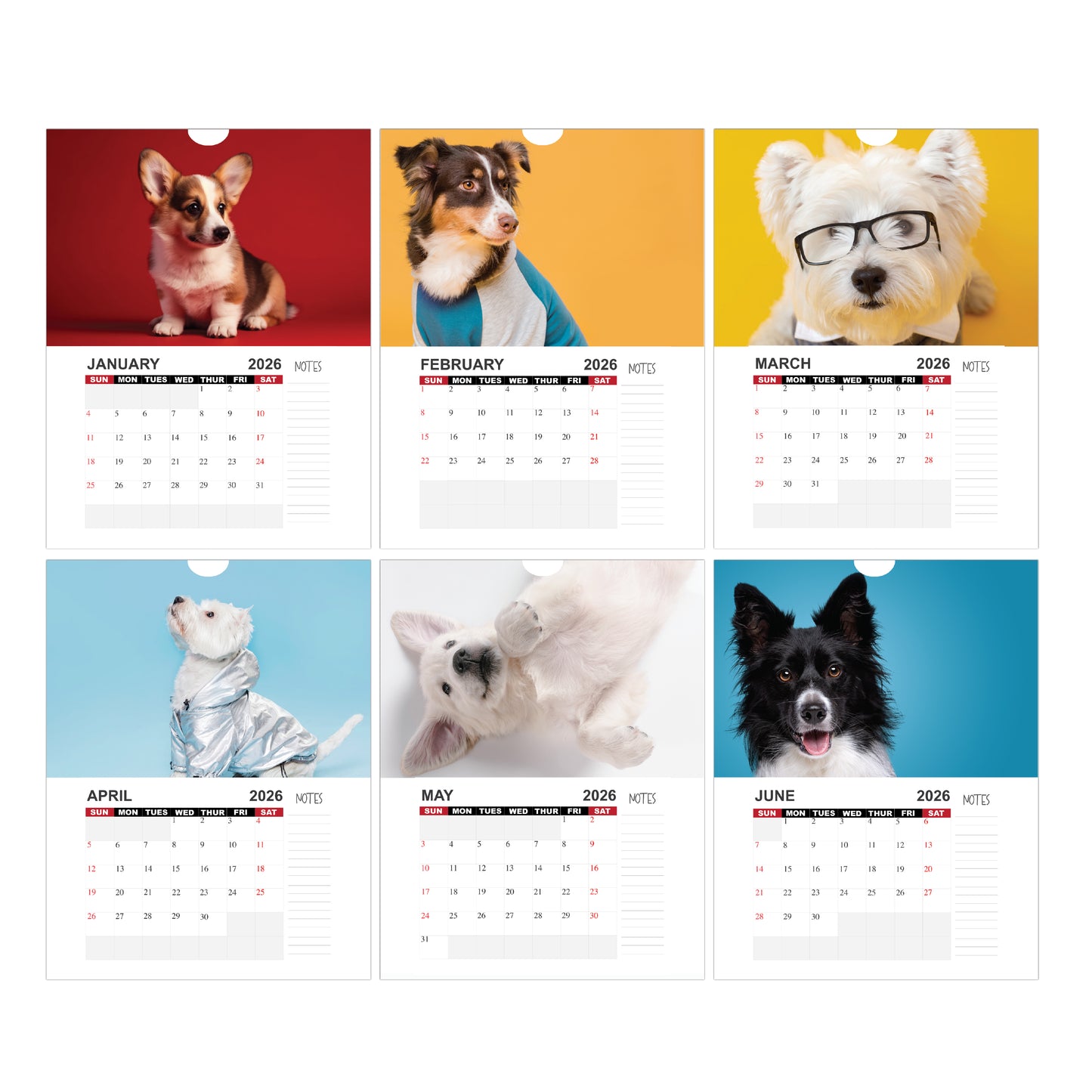 Calendar, custom calendar, calendars, calendar,pet calendar, calendar 2026, custom calendar 2026, bulk affordable calendar