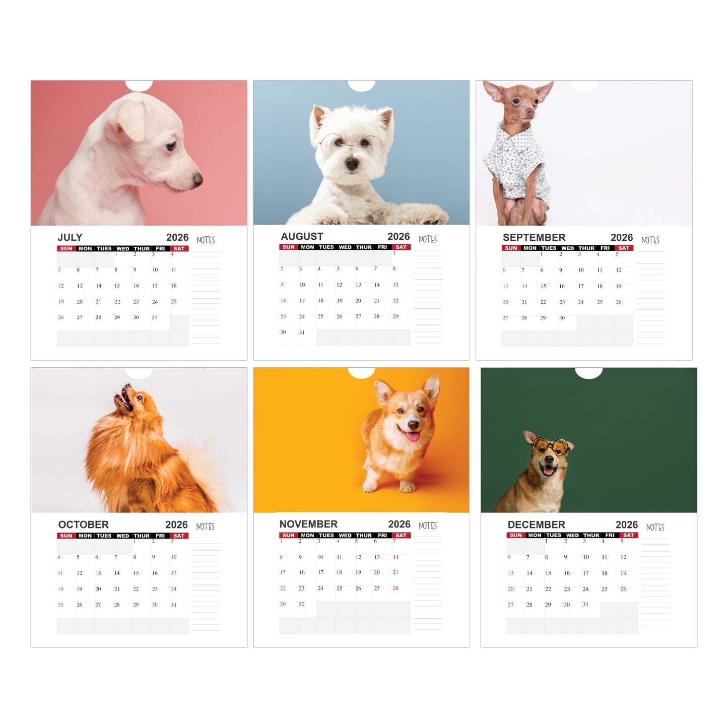 Calendar, custom calendar, calendars, calendar,pet calendar, calendar 2026, custom calendar 2026, bulk affordable calendar